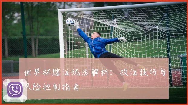 世界杯赌注玩法解析：投注技巧与风险控制指南