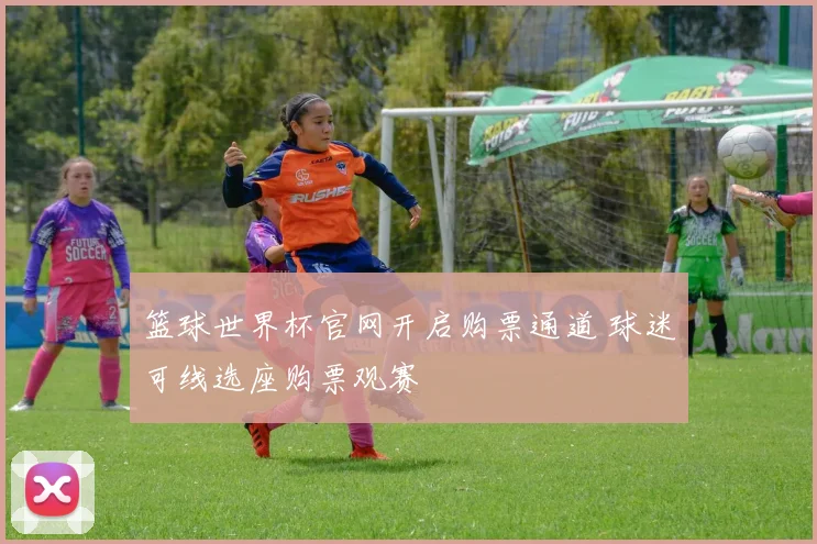 篮球世界杯官网开启购票通道 球迷可线选座购票观赛