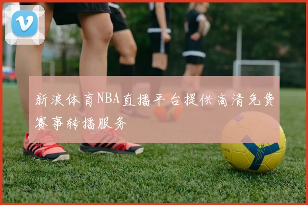 新浪体育NBA直播平台提供高清免费赛事转播服务