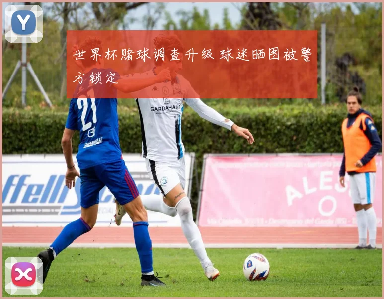 世界杯赌球调查升级 球迷晒图被警方锁定