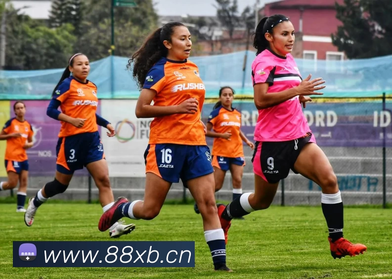 leyu乐鱼手机网页版APP 封面图